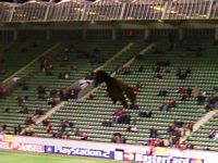 La telecamera-pipistrello radiocomandata sospesa sul settore ospiti. In Italia sarebbe stata abbattuta.